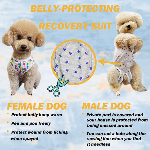 Dog’s Recovery Suit Post Surgery Shirt for Puppy, Wound Protective Clothes for Little Animals (Blue-xs)