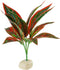 AQUANEAT Terrarium Plant, Fake Reptile Plant for Amphibian Habitat, 10 inch Tall
