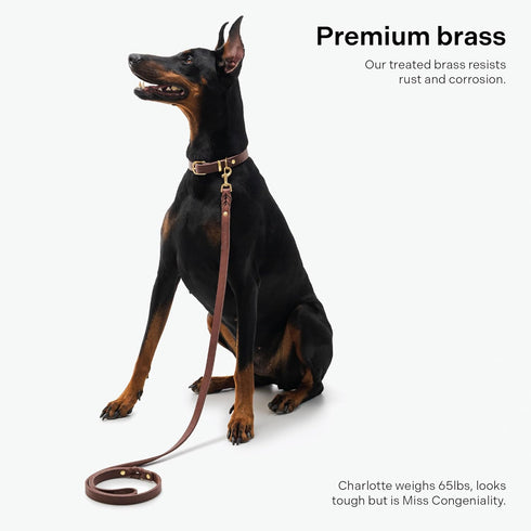 Scout Supply Classic Leather Dog Leash, Strong Heavy Duty Thick Full Grain Leather, Dark Brown, M: 4.5 ft x 1/2 in