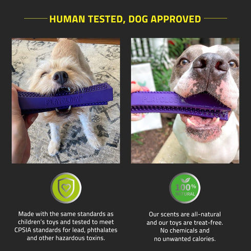 Playology Silver Dental Chew Stick Dog Toy for Medium Senior Dogs (15-35lbs) - All-Natural Pork Scented