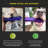 Playology Silver Dental Chew Stick Dog Toy for Medium Senior Dogs (15-35lbs) - All-Natural Pork Scented