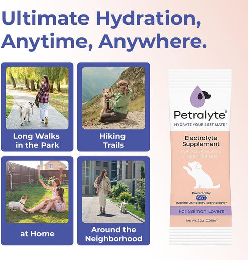 32 Packets Dog Electrolytes and Joint Supplement | Hydration Support for Dogs w/Glucosamine, Chondroitin & More |