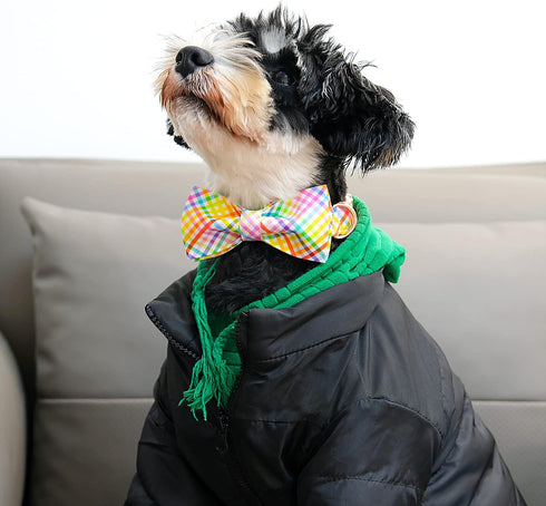 Lionet Paws Easter Dog Collar with Bowtie, Colorful Cute Cotton Bowtie Dog Collar with Metal Buckle for Medium Dogs