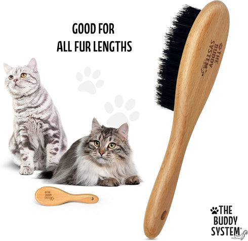 The Buddy System Cat Brush, Professional Grade Daily Grooming Hairbrush with Boar Bristle, Wooden Handle (1 Pack)