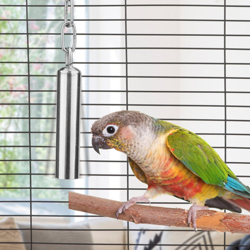 Hypeety Stainless Steel Bells Toy for Bird - Parrot, Macaw, African Greys, Amazon, Eclectus, Cockatoo (S)