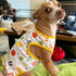 2 Pack Dog Shirts - Soft Stretchy Cotton Summer Pet T-Shirts for Small Dogs Cats, Cute Cartoon Print Vest Clothes