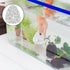 DOITOOL Aquarium Shrimp Breeding Cave with Holes Hollow Reef Rock Shrimp Hideout for Fish Tank Landscaping Decor