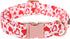 Maca Bates Valentines Dog Collar, Comfortable Soft Heart Collar with Metal Buckle, Adjustable for Small Medium Large Dog