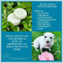 3 oz Balancing Biome Pet Shampoo Bar for Dogs & Cats Vet-Formulated, Fragrance-Free, Hypoallergenic, Plant-Based