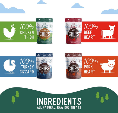 Beg & Barker Jerky Chips for Dogs Variety (3.5oz, Pack of 4) - Single Ingredient Protein Human Grade Treats Made in USA