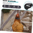 4pcs Nylon Chicken Collar for Rooster - No Crow Band Noise Collars, 2 Pack for Poultry