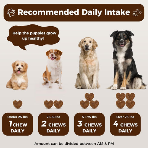 BevinMugford 170 Count Immune Turkey Tail Mushroom for Dogs, Mushroom Chews for Dogs, Chicken Flavor Mushroom