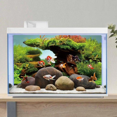AWERT 48x24 inches Wood Fish Tank Background, Seaweed Aquarium Background River Bed & Lake Vinyl Background