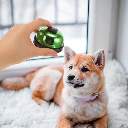 DOITOOL Pet Training Press Bell for Dogs and Puppies Colorful Bright Green Dog Dinner Training Bell for Potty