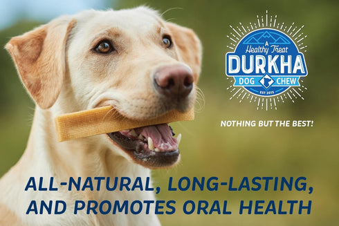 Yak Cheese Chews - Himalayan Yak Cheese Dog Chews, Natural, Healthy & Long Lasting for Dogs 55 lbs and Smaller