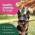 Willow&I Bully Sticks for Dogs - 12 Inch for Large Dogs (5 Pack), 100% Natural Grass Fed Beef Pizzle Sticks