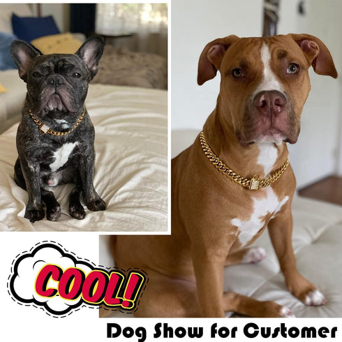 Gold Dog Collar with Zirconia Buckle, Cuban Link Chain Bling Collar for Small Medium Large Dogs
