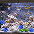 Balls Filter Media - 500ml Aquarium Filter Ball for Freshwater and Seawater (Diameter 22mm/0.87inch)