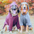 Blueberry Pet Essentials Charcoal Grey Dog Hoodie – 12 inch Cotton-Blend Sweatshirt with Hood, Machine-Washable