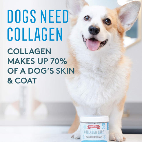 60ct The Missing Link Collagen Care Skin & Coat Soft Chews - Daily Hair Growth, Healthy Skin & Strong Nails Support