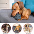 Indestructible Dog Chew Toys for Large Dogs | Tough Durable Squeaky Interactive Toys, Teeth Chew Toy for Medium Large