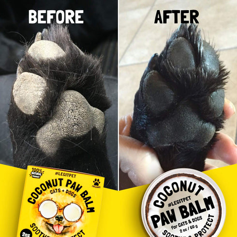 Coconut Paw Balm for Dogs by legitpet for Pet Care