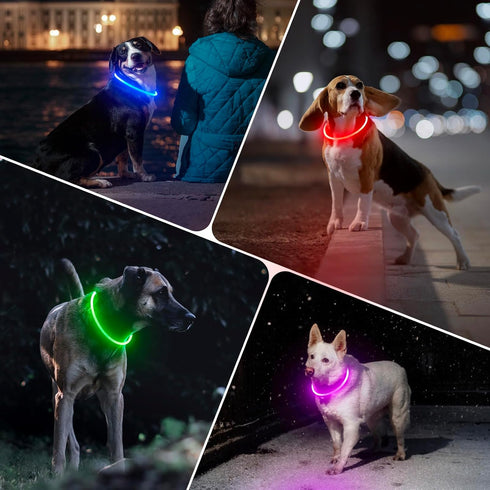 BSEEN Light Up Dog Collar - Rechargeable LED Dog Collar, 360° Glow in The Dark Pet Collar for Night Walking (Red 70cm)