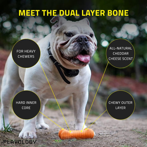 Playology Dual Layer Bone Toy for Medium Dogs (15-35lbs) - Engaging All-Natural Cheddar Cheese Scented Durable Dog Chew Toy for Heavy Chewers - Easy to Clean - Interactive & Non-Toxic