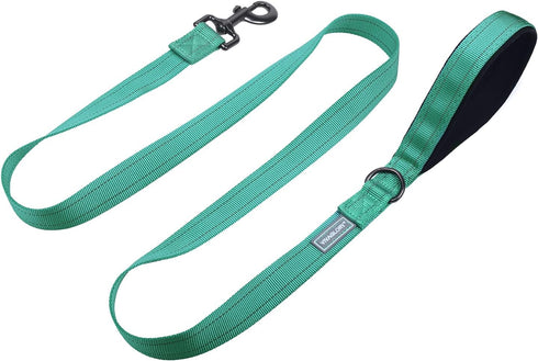 VIVAGLORY Dailyx Dog Leash, Puppy Leash for Training & Walking, Heavy Duty Double Layer Nylon, 6ft x 1in, Green
