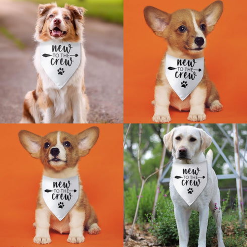 New to The Crew Dog Bandana New Puppy Announcement Gift for New Owners Puppy Bandana Dog Owner Gifts Triangle Bibs