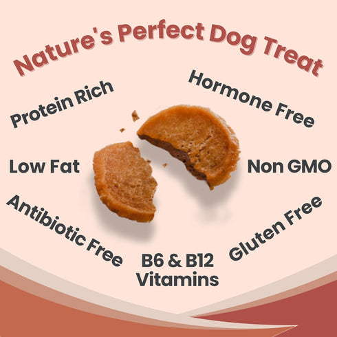 Dog Training Treats - Turkey Chips, Single Ingredient, All Natural, Healthy for Small, Medium, Large Breeds