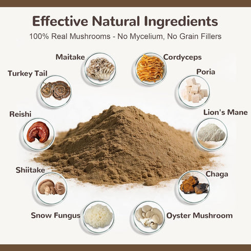 10 50% Immune 36g Turkey Tail Mushroom for Dogs, Organic Mushroom Blend for Lipoma Lumps and Bumps, Probiotic Mushroom