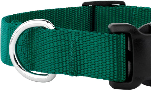 Country Brook Petz Dog Collar, American-Made, Medium, 3/4 Inch Wide, Deluxe Heavy Duty Nylon, Green