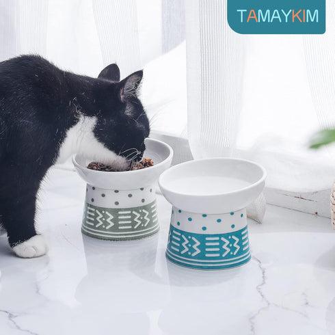 TAMAYKIM Tilted Ceramic Elevated Cat Bowls, Raised Food and Water Bowl Set for Kitty Cats and Puppys, Porcelain Stress Free Feeding Pet Bowl Dish, Cyan & Grey, Set of 2