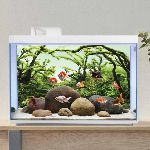 AWERT 24x12 inches Branches Aquarium Background, Chlorella Vinyl Background for Fish Tank