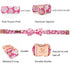 Elegant Little Tail Dog Collar with Bow, Pink Floral Adjustable Collar for X-Large Dogs