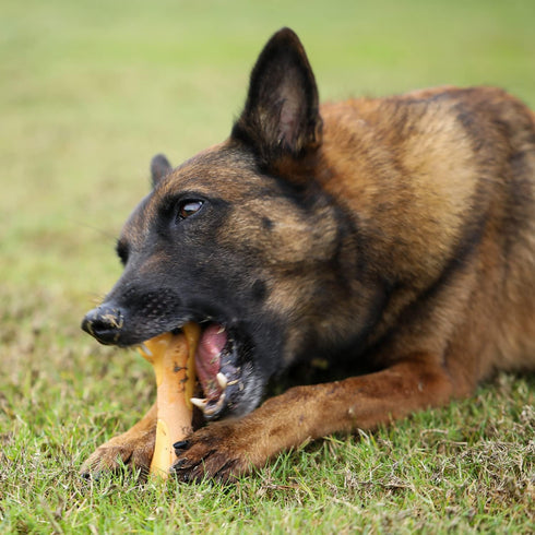 Tikaton Dog Chew Toys for Aggressive Chewers, Chicken Flavor Durable Teething Bones for All Sizes