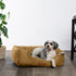 Modern Threads Luxury Dog Bed, Comfortable Tufted Velvet Cushion for Small to Large Dogs, Machine Washable, Caramel