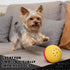 Pet Qwerks Large Animal Sounds Babble Ball