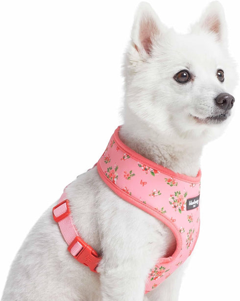 Blueberry Pet Soft & Comfy Floral Rose Dog Harness Vest, Baby Pink, Chest Girth 19.5" - 26", Medium