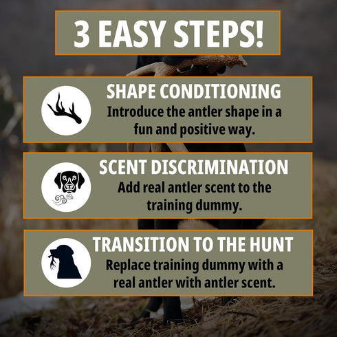 DogBone Shed Dog Training System, Hunting Dog Accessories, Training Kit, Scent Training Tools for Dogs
