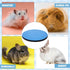AceOrbit Chinchilla Rabbit Grooming Kit Bunny Grooming Table with Non Slip Blue Felt Mat Pets Groom Platform for Guinea