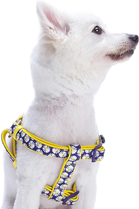 Blueberry Pet Step-in Dog Harness - Small, Adjustable, Loving Daisy Prints, Chest Girth 16.5" - 21.5"