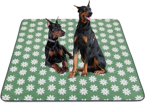 LOOBANI Extra Large Washable Puppy Pads: Non-Slip Pet Whelping Pad, Fast Absorbent