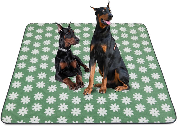 LOOBANI Extra Large Washable Puppy Pads: Non-Slip Pet Whelping Pad, Fast Absorbent