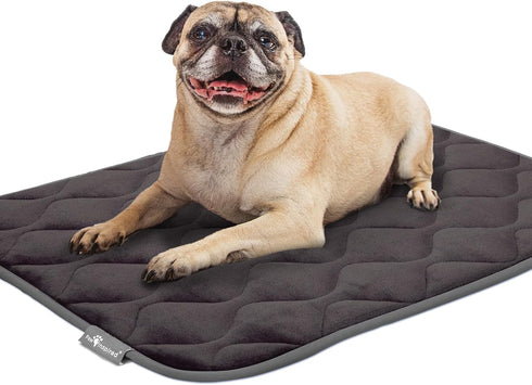 Paw Inspired Washable Padded Crate Mats for Dogs - 29” x 18” Pad, Leakproof Waterproof Bottom, Plush Pet Beds