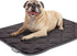 Paw Inspired Washable Padded Crate Mats for Dogs - 29” x 18” Pad, Leakproof Waterproof Bottom, Plush Pet Beds