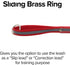 Regal Dog Products Reflective Leash – 5 ft. Lightweight Dog Leash for Small, Medium, Large, or XL Dogs (Red)