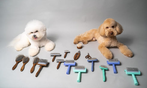 Wooden Massage Brush for Dogs and Cats, Premium Design with Soft Cushion, 24 x 6 cm