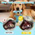 2PCS Squeaky Dog Toys, Squeaky Dog Chew Toys Bear Plush Dog Toys to Keep Them Busy, Built-in a Squeaker Interactive
